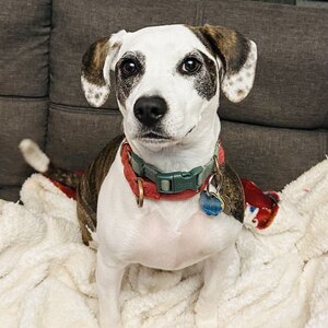 Fundraising Page: Ruthie Garcia